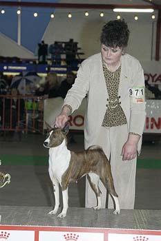 gal/Expo janvier 2005/DSC_4513.jpg